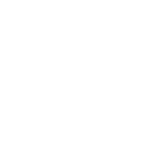 2024MaximumLogowht