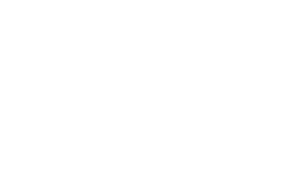 Rise White Logo web